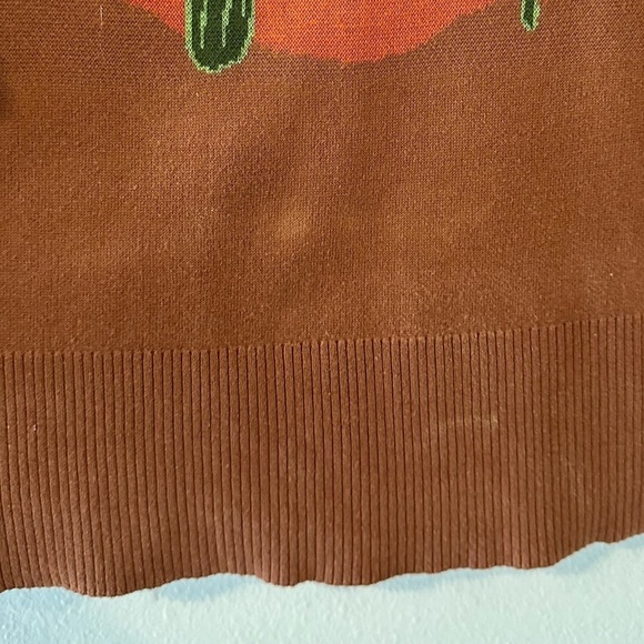 cotton & rye cactus arizona desert long sleeve fringe sweater - Picture 5 of 8